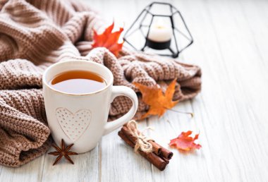 Sonbahar evi konforu