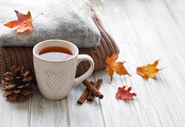 Sonbahar evi konforu