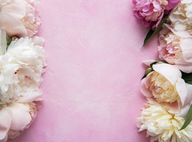 pembe peonies ile arka plan