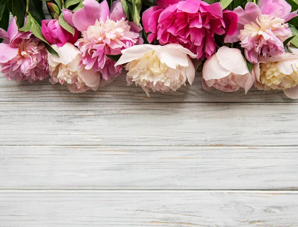 Фон с розовыми пионами — стоковое фото