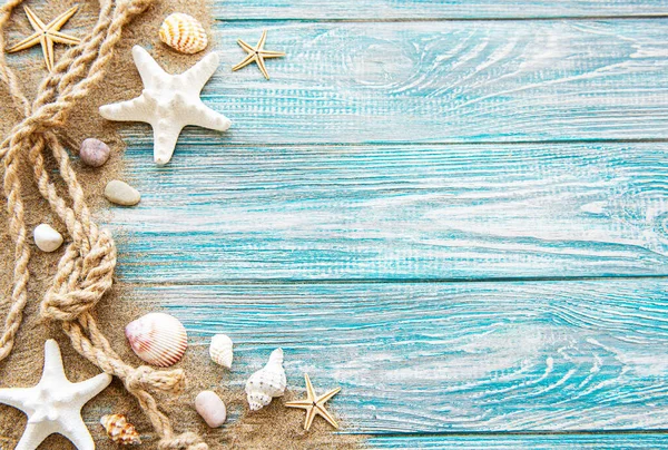 Seashells Sand Sea Summer Vacation Background Space Text Top View — Stock Photo, Image