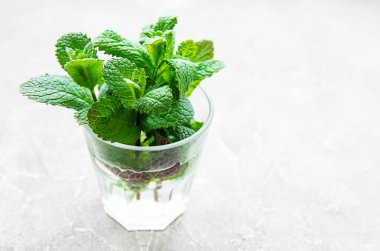 Beton zeminde cam içinde taze organik çalı çırpı demeti