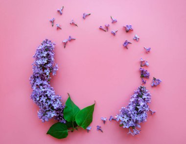 Çemberin dalları ve pembe arka plandaki leylak çiçekleri daire şeklinde, üst ekran, düz çizgi, Paskalya için fotokopi alanı, Anneler Günü, Kadınlar Günü