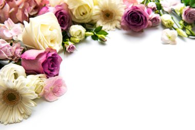 Beyaz arkaplandaki çiçeklerin iskeleti. Düz yatıyordu.