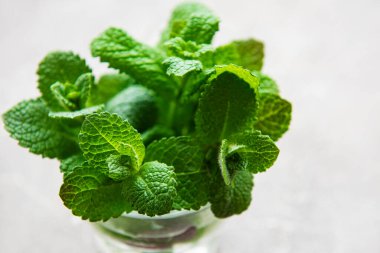 Beton zeminde cam içinde taze organik çalı çırpı demeti