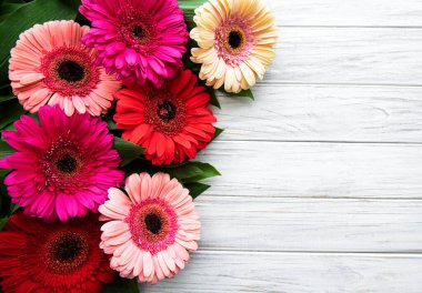 Beyaz ahşap arka planda parlak gerbera çiçekleri. Çiçek çerçevesi, üst görünüm