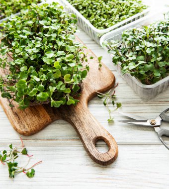 Tahta kesme tahtasında kırmızı turp mikroçipleri, sağlıklı bir kavram.