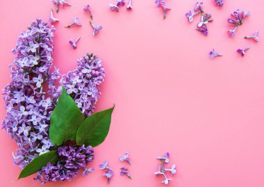 Pembe arka planda dalların ve leylak çiçeklerinin çerçevesi, üst ekran, düz döşeme, Paskalya için fotokopi alanı, Anneler Günü, Kadınlar Günü