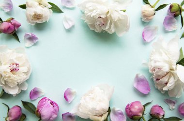 Taze açık pembe şakayık çiçekleri kenarlarında mavi pastel arka planda fotokopi alanı var.. 