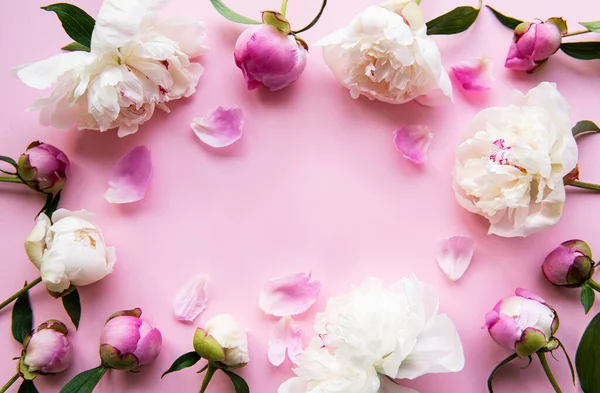 Φρέσκα Ροζ Παιώνια Λουλούδια Σύνορα Αντίγραφο Χώρου Ροζ Παστέλ Φόντο — Φωτογραφία Αρχείου