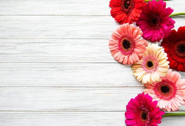 Beyaz ahşap arka planda parlak gerbera çiçekleri. Çiçek çerçevesi, üst görünüm