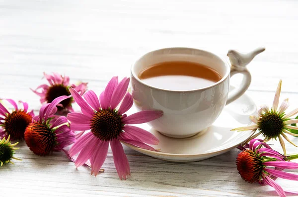 Echinacea Tea Citrommal Friss Virágokkal — Stock Fotó