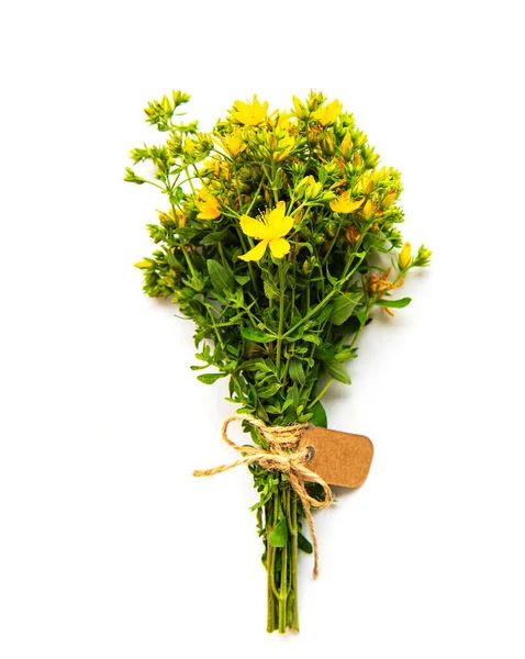 Bunch John Wort Tag White Background — Stock Photo, Image