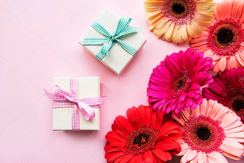 Gerbera  flowers  and gift boxes  on a pink background. Top view