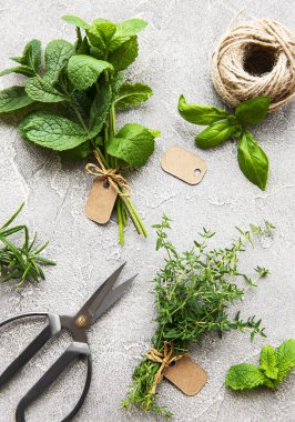 Gri beton arka planda yukarıdan taze aromatik bitkiler. Nane, kekik, fesleğen, biberiye, üst manzara.
