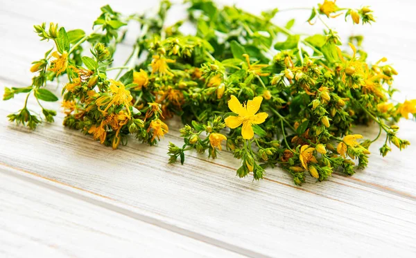 Yellow Saint Johns Wort Flowers White Wooden Backdrop Wild Flower — Stock Photo, Image