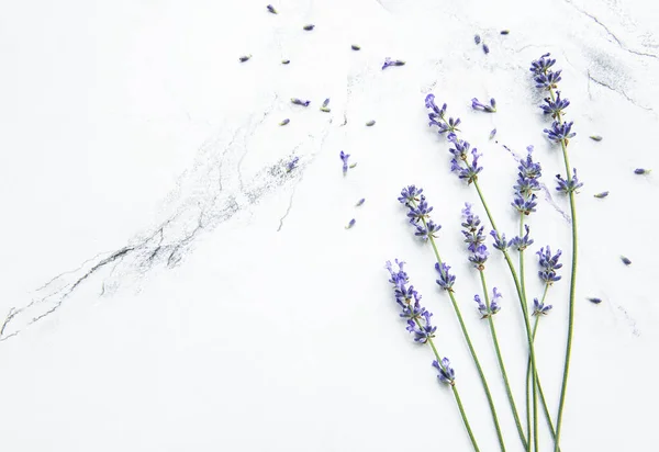 Lavender  on a white marble  background with space for text, top view