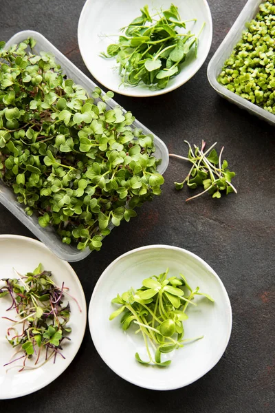 Assortiment Van Micro Greens Zwarte Achtergrond Kopieerruimte Bovenaanzicht Gezonde Levensstijl — Stockfoto