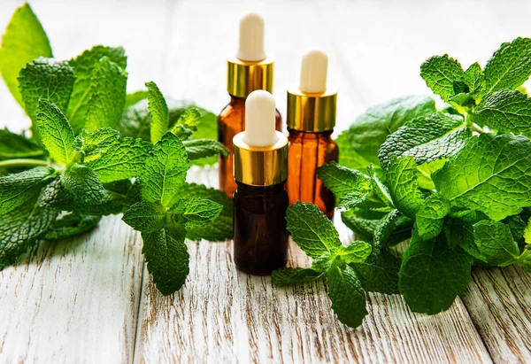 Organic Essential Mint Oil Green Leave — Stock Photo, Image