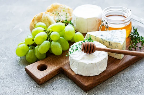 Gri beton arka planda peynir seçimi, bal ve üzüm