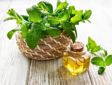 Yeşil izinli organik nane yağı