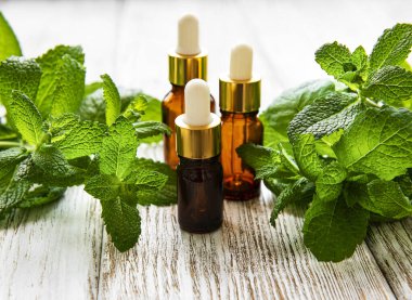 Yeşil izinli organik nane yağı