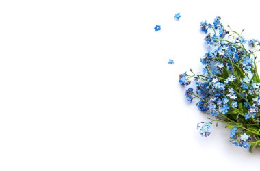 Beyaz arka planda fotokopi alanı olan 