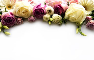 Beyaz arkaplandaki çiçeklerin iskeleti. Düz yatıyordu.