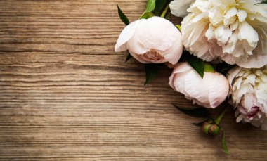 Pembe şakayık çiçekleri eski ahşap arka planda bir sınır olarak