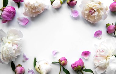 Taze pembe şakayık çiçekleri. Beyaz arka planda kopyalama alanı var..