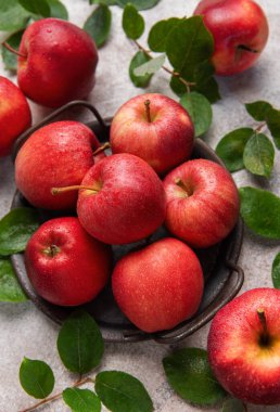 Kırsal metal bir sepette yeşil yaprakların arasına yerleştirilmiş su damlacıkları ile canlı kırmızı elmalar taze ve davetkar bir sahne yaratıyor.