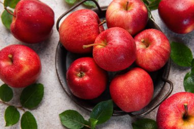 Kırsal metal bir sepette yeşil yaprakların arasına yerleştirilmiş su damlacıkları ile canlı kırmızı elmalar taze ve davetkar bir sahne yaratıyor.