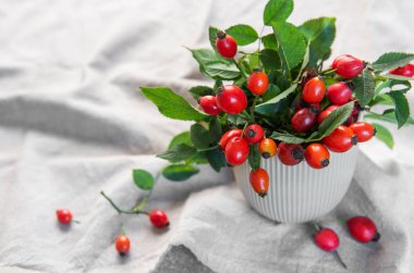 Yeşil yapraklı taze gül kalçaları keten bir masa örtüsünde dekoratif bir vazo taşır.