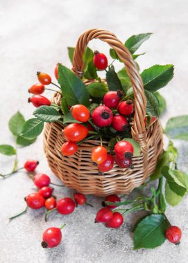 Hasat sepetinden dökülen olgun gül kalçaları sonbahar hasadını ve doğal çareleri kutluyor.