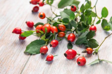 Olgun gül kalçalar yeşil yapraklarla saçılmış kırsal beyaz ahşap bir masa üzerine, doğal ve sağlıklı bir sonbahar manzarası yaratır