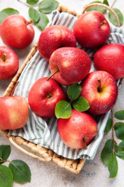 Olgun kırmızı elmalar su damlacıklarıyla hasır bir sepetin içinde uzanır. Çizgili bir bezin üzerinde. Tazelik ve sağlıklı beslenmeyi somutlaştırır.