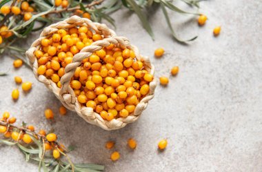 Olgun deniz karabataklarının dokuma sepetinden dökülmesi bu canlı sonbahar hasadının bolluğunu gözler önüne seriyor.