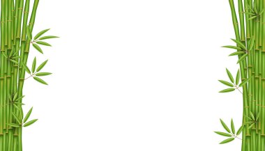 Çin bambu çim ağaç yaratıcı vektör Illustration. Tropikal Asya bitki sanat tasarım. Soyut kavram grafik afiş, broşür, kapak, kitapçık, baskı, afiş, kitap, boş, a4 öğesi.