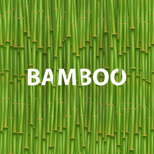 Ilustración vectorial creativa del árbol de hierba de bambú chino. Tropical asiático planta de diseño de arte. Banner gráfico de concepto abstracto, folleto, portada, folleto, impresión, folleto, libro, en blanco, elemento a4 . — Archivo Imágenes Vectoriales