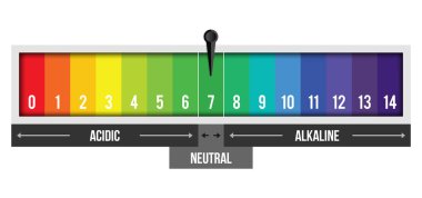 Ph ölçeği değeri arka planda izole yaratıcı vektör Illustration. Kimyasal sanat tasarım Infographic. Soyut kavram grafik turnusol kağıdı öğesi.
