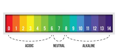 Ph ölçeği değeri arka planda izole yaratıcı vektör Illustration. Kimyasal sanat tasarım Infographic. Soyut kavram grafik turnusol kağıdı öğesi.