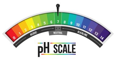 Ph ölçeği değeri arka planda izole yaratıcı vektör Illustration. Kimyasal sanat tasarım Infographic. Soyut kavram grafik turnusol kağıdı öğesi.