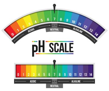 Ph ölçeği değeri arka planda izole yaratıcı vektör Illustration. Kimyasal sanat tasarım Infographic. Soyut kavram grafik turnusol kağıdı öğesi.