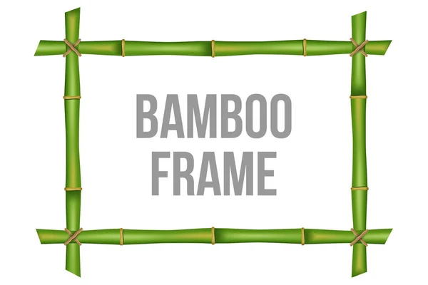 Ilustração Vetorial Criativa Quadro Hastes Bambu Isolado Fundo Design Arte — Vetor de Stock