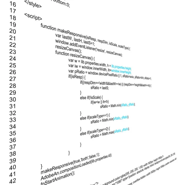 Creative vector illustration of programming HTML code on computer screen isolated on background. Art design website digital page. Program listing view. Abstract concept graphic technology element — Stock Vector