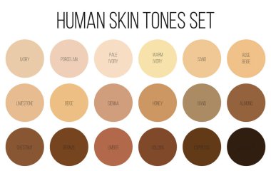 Creative vector illustration of human skin tone color palette set isolated on transparent background. Art design. Abstract concept person face, body complexion graphic element for cosmetics clipart