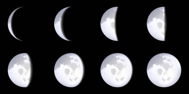 Yaratıcı vektör çizim gerçekçi ayın üzerinde şeffaf arka plan izole düzenleri aşama. Sanat Tasarım ay takvimi. Ay ışığı faaliyet farklı aşamalarında. Soyut kavram grafik öğesi.