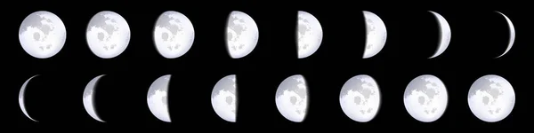 Ilustración vectorial creativa de esquemas realistas de fases lunares aislados sobre fondo transparente. Arte diseño calendario lunar. Diferentes etapas de la actividad de la luz de la luna. Concepto abstracto elemento gráfico . — Archivo Imágenes Vectoriales