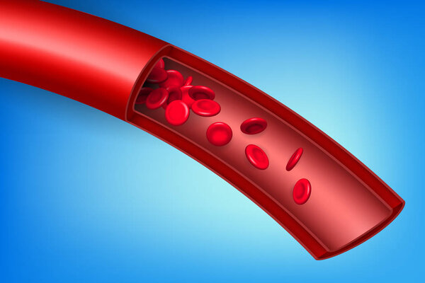 Creative vector illustration of artery red blood cells stream flow, microbiological medical erythrocyte vessel isolated on background. Art design medicine. Abstract concept graphic science element