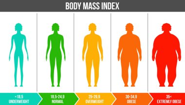 BMI, vücut kitle indeksi Infographic grafik siluetleri ve şeffaf arka plan üzerinde izole ölçeği ile yaratıcı vektör Illustration. Sanat tasarım sağlık yaşam şablonu. Soyut kavram grafik öğesi